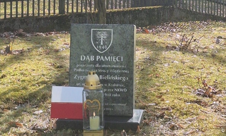 Klasa 6c opiekuje się Dębem Pamięci podkomisarza Zygmunta Bielińskiego